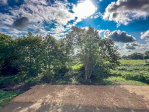 Blick in die Natur